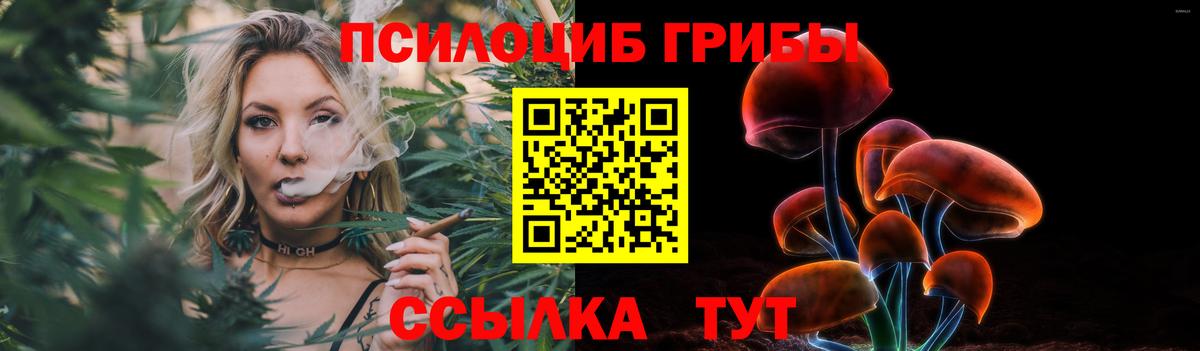 Галлюциногенные грибы Cubensis  Вход с VPN  Коркино  Галлюциногенные грибы прущие грибы 